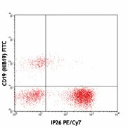 PE/Cyanine7 anti-human TCR α/β