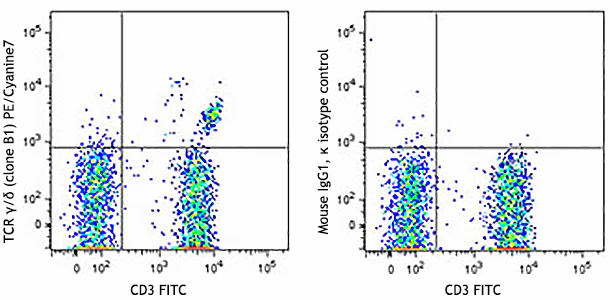 PE/Cyanine7 anti-human TCR γ/δ