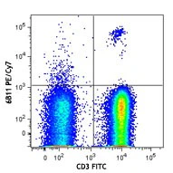 PE/Cyanine7 anti-human TCR Vα24-Jα18 (iNKT cell)