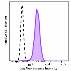 PE/Cyanine7 anti-human TdT