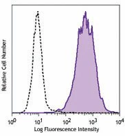 PE/Cyanine7 anti-mouse CD107a (LAMP-1) - Image 2