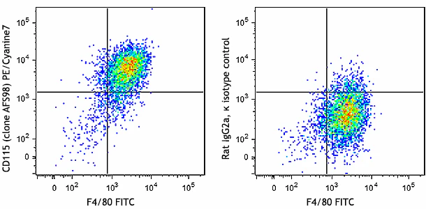 PE/Cyanine7 anti-mouse CD115 (CSF-1R)