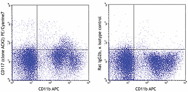 PE/Cyanine7 anti-mouse CD117 (c-kit)
