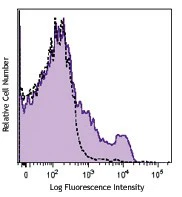 PE/Cyanine7 anti-mouse CD122 (IL-2Rβ)