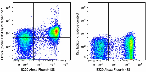 PE/Cyanine7 anti-mouse CD124 (IL-4Rα)
