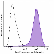 PE/Cyanine7 anti-mouse CD13 Recombinant