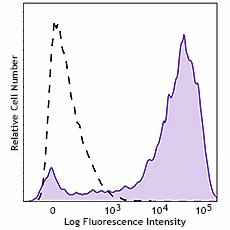 PE/Cyanine7 anti-mouse CD13 Recombinant
