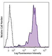PE/Cyanine7 anti-mouse CD133