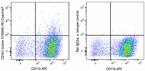 PE/Cyanine7 anti-mouse CD163