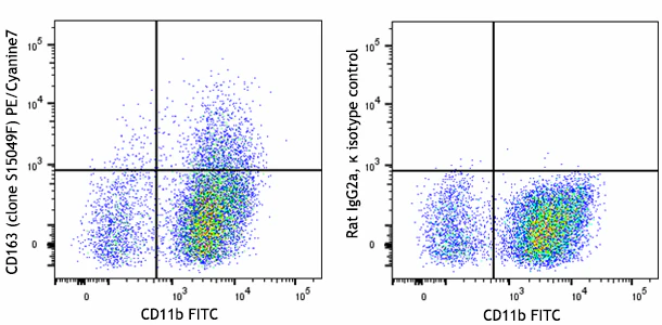 PE/Cyanine7 anti-mouse CD163