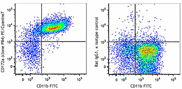 PE/Cyanine7 anti-mouse CD172a (SIRPα)