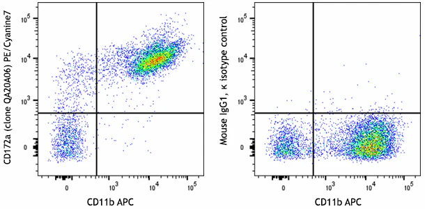 PE/Cyanine7 anti-mouse CD172a (SIRPα) Recombinant