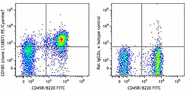 PE/Cyanine7 anti-mouse CD185 (CXCR5)