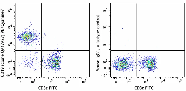 PE/Cyanine7 anti-mouse CD19 Recombinant