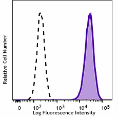 PE/Cyanine7 anti-mouse CD204