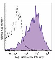 PE/Cyanine7 anti-mouse CD25