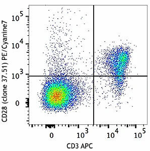 PE/Cyanine7 anti-mouse CD28