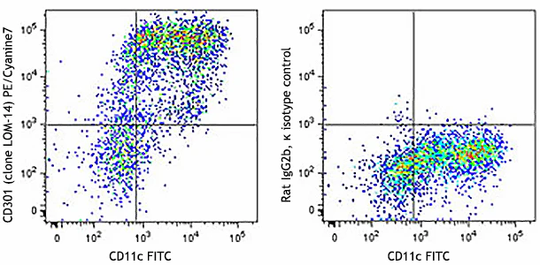 PE/Cyanine7 anti-mouse CD301 (MGL1/MGL2)