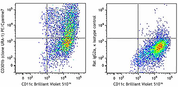 PE/Cyanine7 anti-mouse CD301b (MGL2)