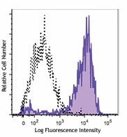 PE/Cyanine7 anti-mouse CD36
