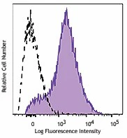 PE/Cyanine7 anti-mouse CD54