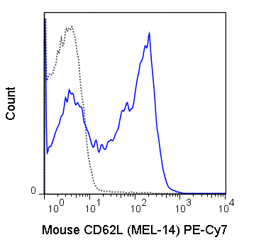 PE-Cyanine7 Anti-Mouse CD62L (L-Selectin) (MEL-14)