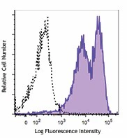 PE/Cyanine7 anti-mouse CD83