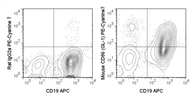 PE-Cyanine7 Anti-Mouse CD86 (B7-2) (GL-1)