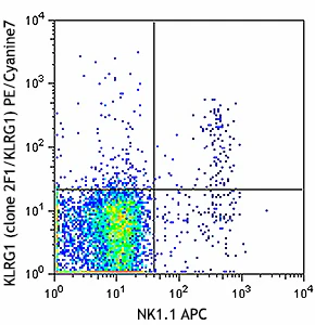 PE/Cyanine7 anti-mouse/human KLRG1 (MAFA)