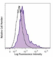 PE/Cyanine7 anti-mouse IL-12/IL-23 p40