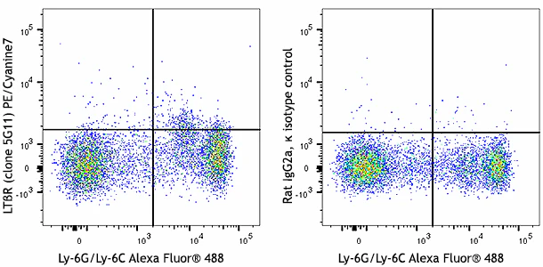 PE/Cyanine7 anti-mouse lymphotoxin beta receptor (LTβR)