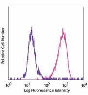 PE/Cyanine7 anti-mouse Podoplanin