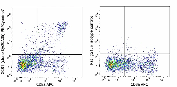 PE/Cyanine7 anti-mouse/rat XCR1 Recombinant