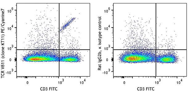 PE/Cyanine7 anti-mouse TCR Vβ11