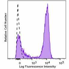 PE/Cyanine7 anti-rat CD3
