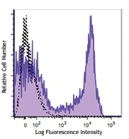 PE/Cyanine7 anti-rat CD45RA