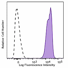 PE/Cyanine7 anti-rat CD47