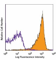 PE/Cyanine7 anti-rat CD90/mouse CD90.1 (Thy-1.1)