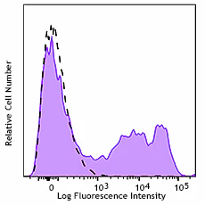 PE/Cyanine7 anti-rat IgM