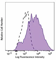PE/Dazzleâ„¢ 594 anti-human CD141 (Thrombomodulin)