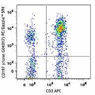 PE/Dazzle™ 594 anti-human CD197 (CCR7)