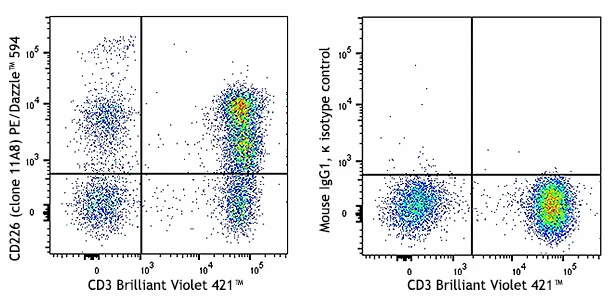 PE/Dazzle™ 594 anti-human CD226 (DNAM-1)