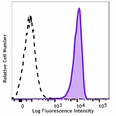 PE/Dazzle™ 594 anti-human CD271 (NGFR)