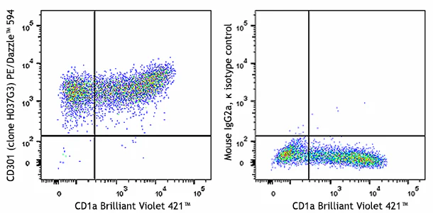 PE/Dazzle™ 594 anti-human CD301 (CLEC10A)