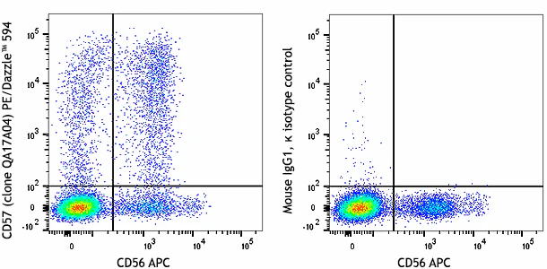 PE/Dazzle™ 594 anti-human CD57 Recombinant - Image 2