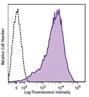 PE/Dazzle™ 594 anti-human CD63