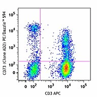 PE/Dazzle™ 594 anti-human CD73 (Ecto-5'-nucleotidase)