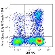 PE/Dazzle™ 594 anti-human IFN-γ
