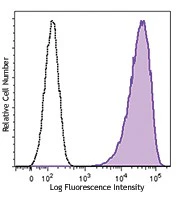 PE/Dazzle™ 594 anti-human SSEA-4