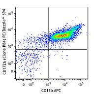 PE/Dazzle⢠594 anti-mouse CD172a (SIRPα)